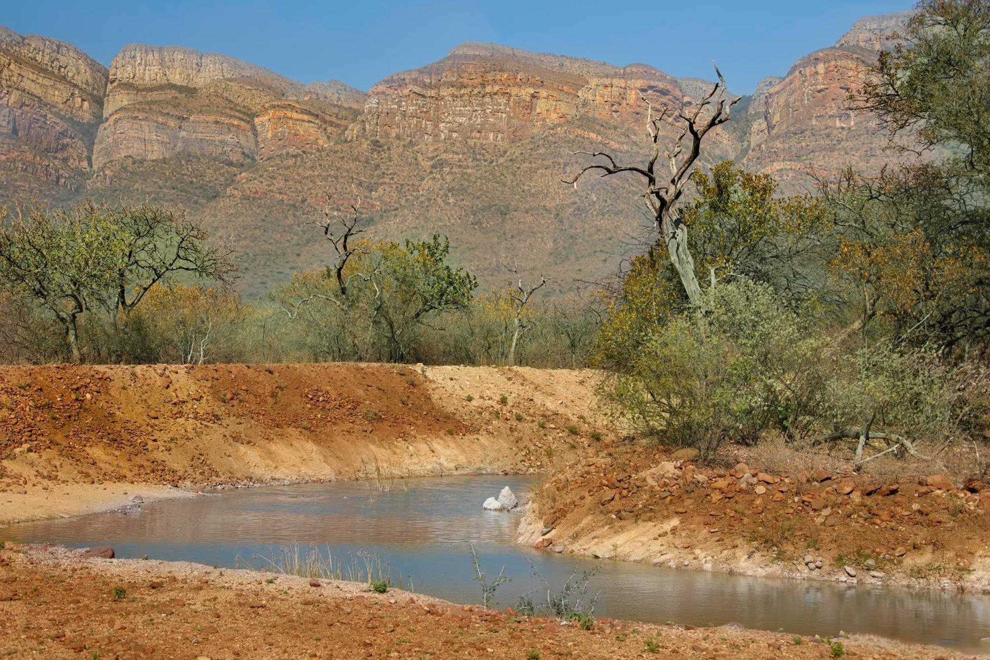 African Dream Tour Hoedspruit Luaran gambar